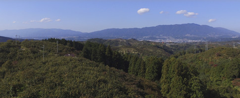 柳田農園について